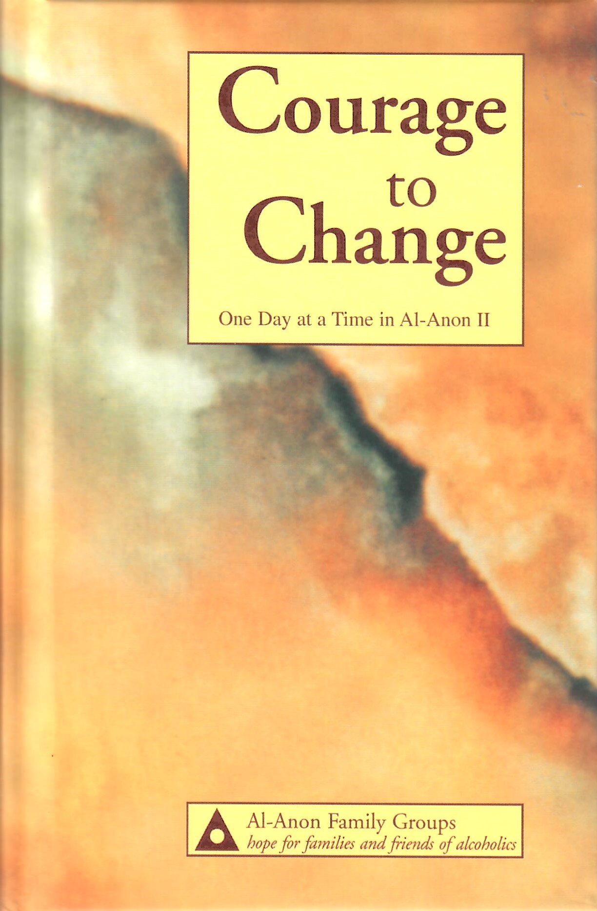 Courage to Change (Large Print) B-17