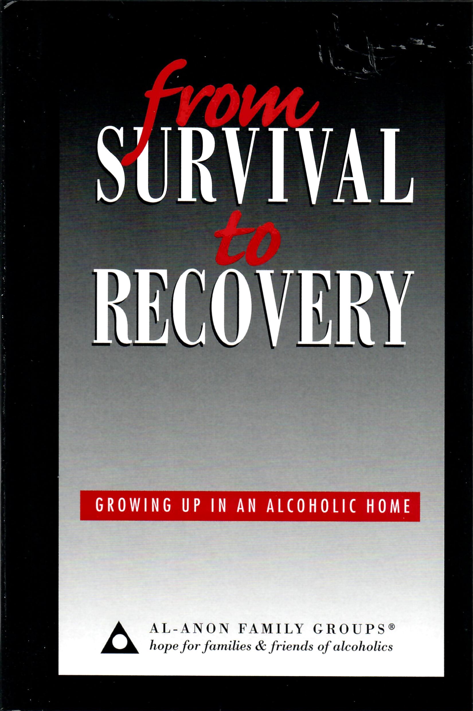 From Survival to Recovery: Growing Up in an Alcoholic Home B-21