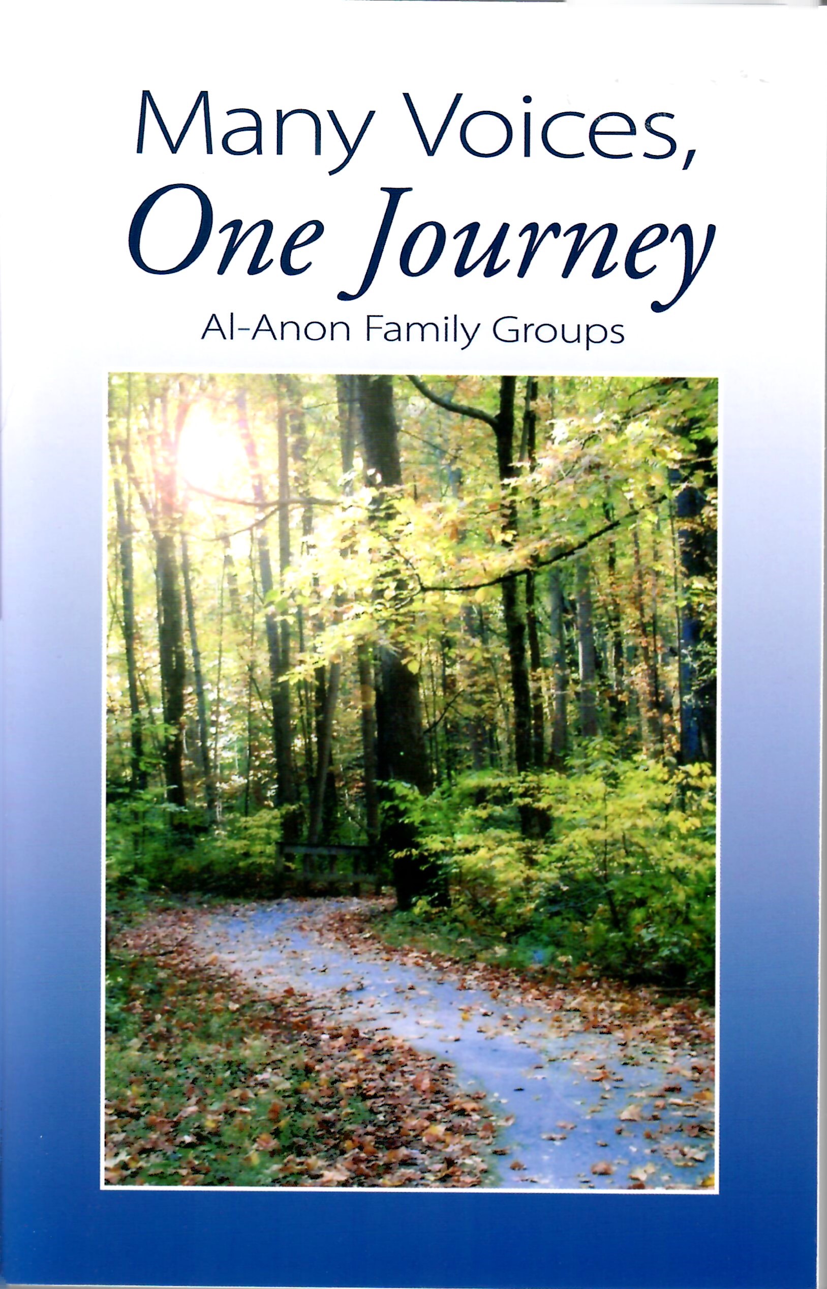 Many Voices, One Journey: Al-Anon Family Groups (Softcover) B-31
